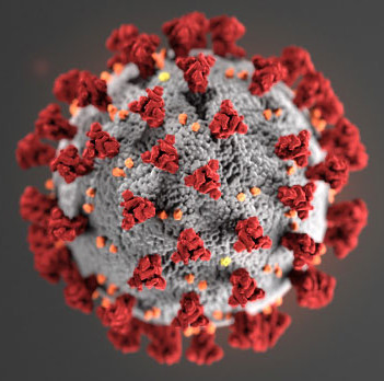 coronavirus