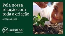 videopapa set2025 peq
